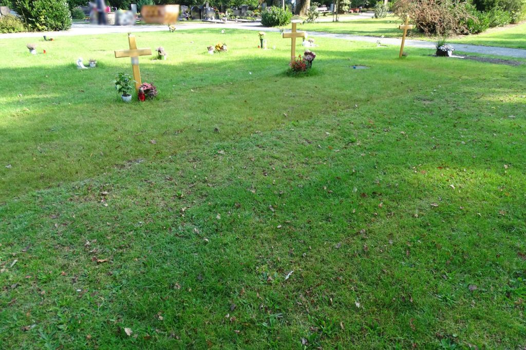 Waldfriedhof Augustdorf Erdbestattung pflegefrei