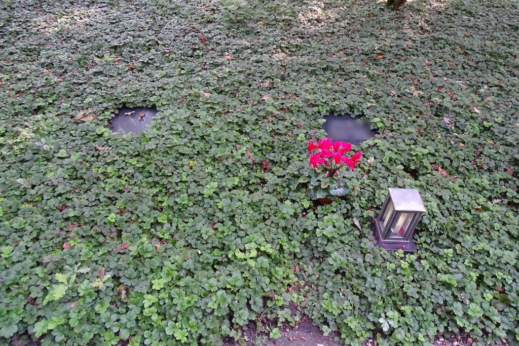 Kommunalfriedhof Hövelhof Erdbestattung Rasen