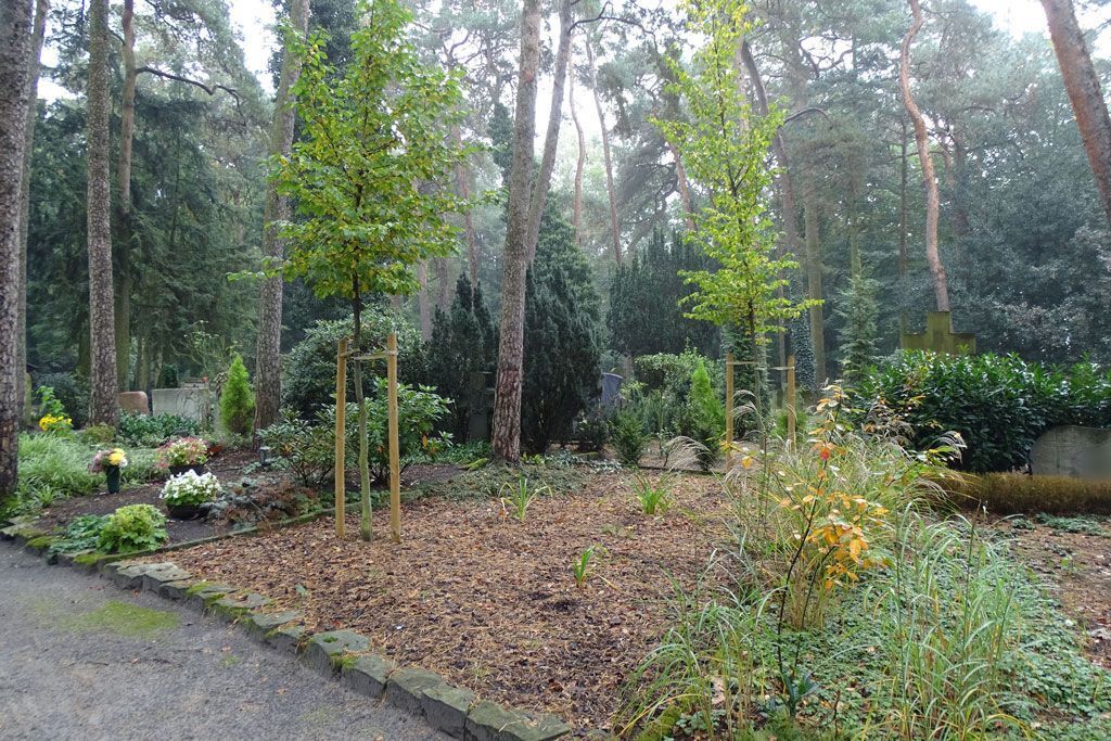 Friedhof Herz-Jesu Hövelriege Urnengräber