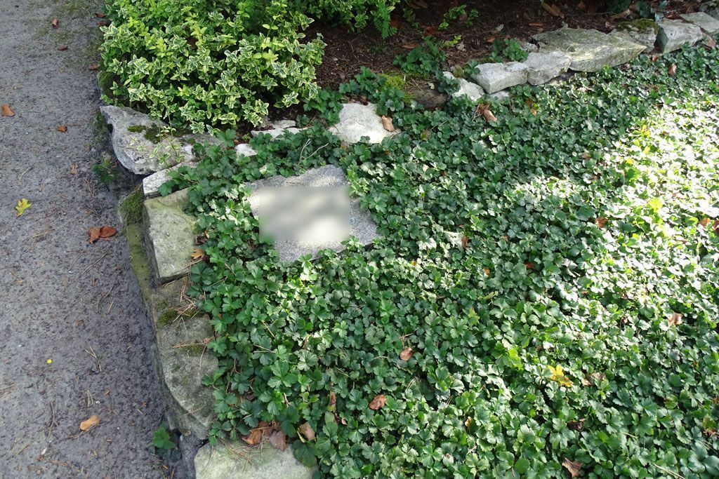 Friedhof Herz-Jesu Hövelriege pflegefreie Gräber