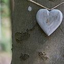Herz aus Holz an Baum