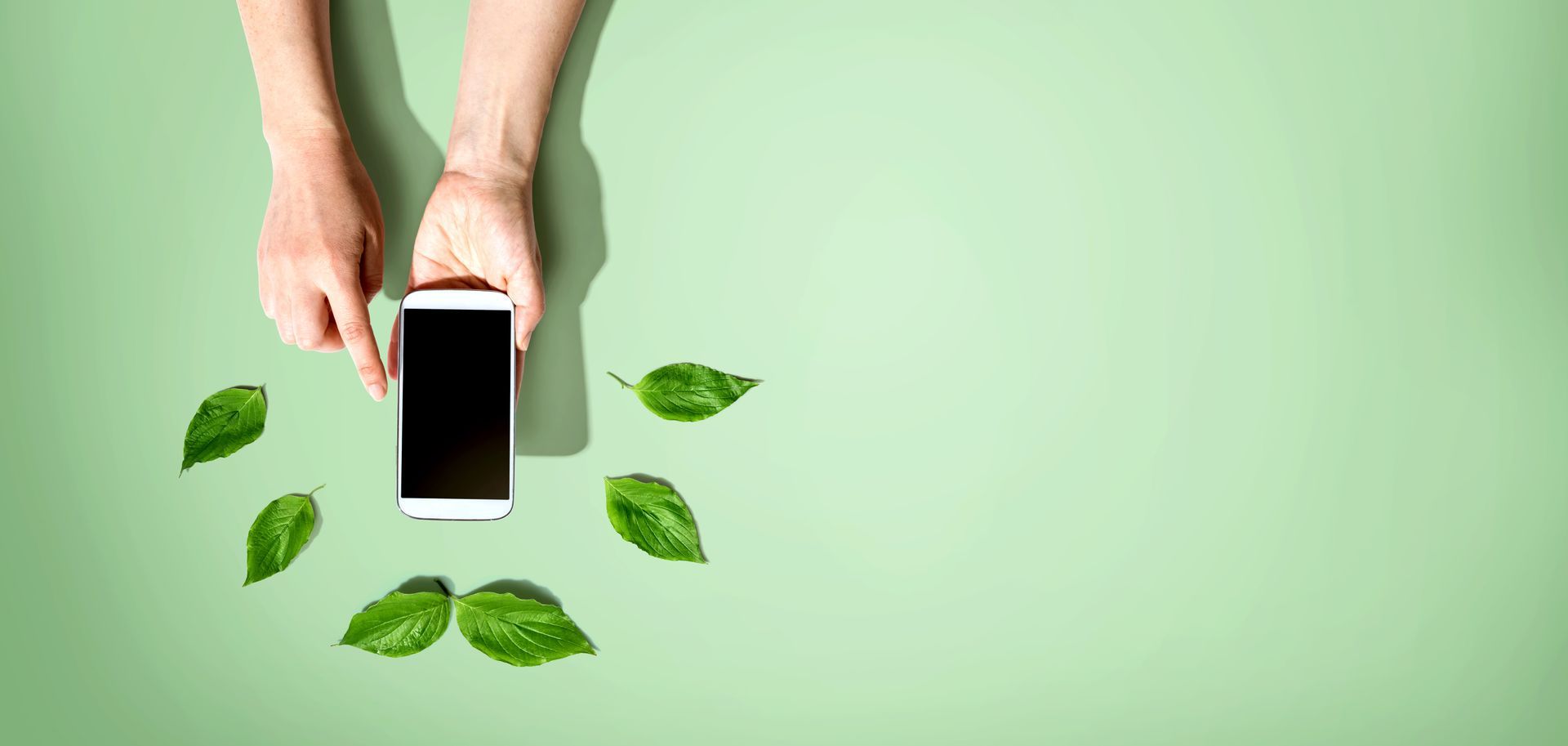 Téléphone pris en main avec des feuilles autour
