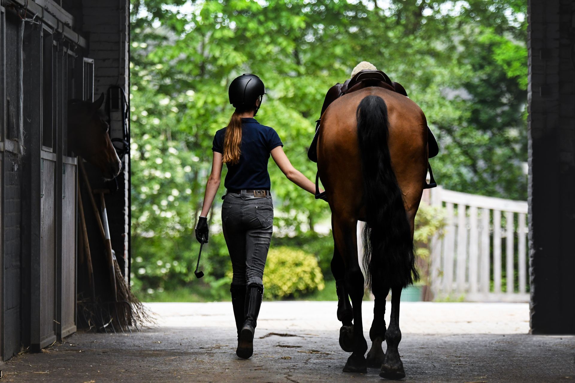 Une femme marche à côté d'un cheval