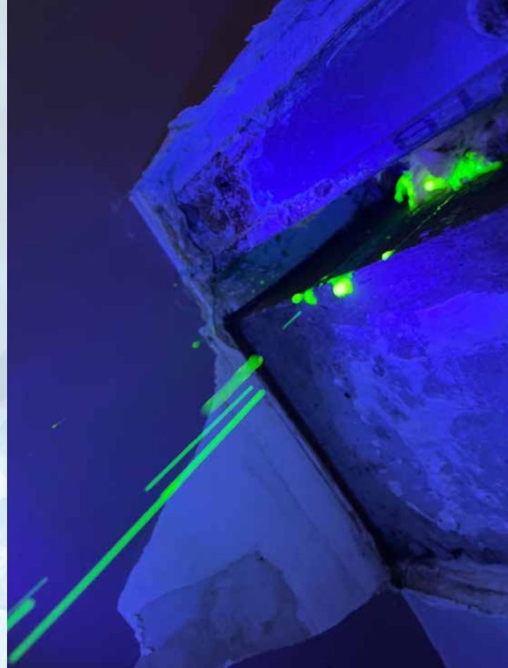 La lumière UV révèle des moisissures vertes dans un coin du plafond. Surfaces bleues et blanches.