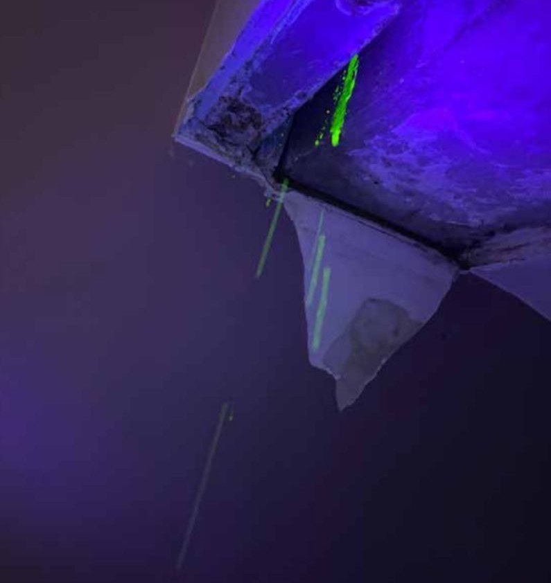 Plafond strié de vert lumineux sous une lumière violette. Certains éléments sont déchirés.