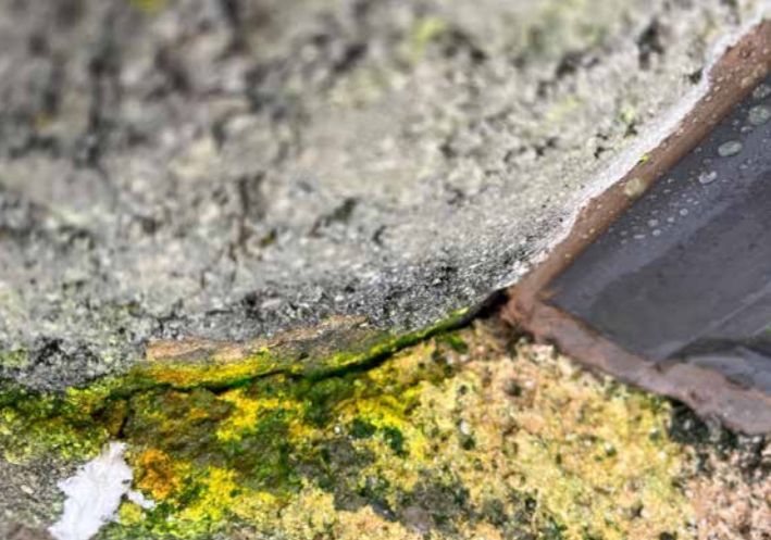 Gros plan sur une surface de béton fissurée et altérée, avec des algues vertes et jaunes se développant près d'un bord sombre.
