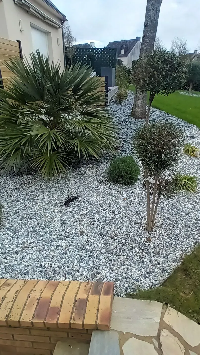 Jardin en gravier avec diverses plantes, dont des palmiers et des arbustes taillés. Bordure en briques et pierres.