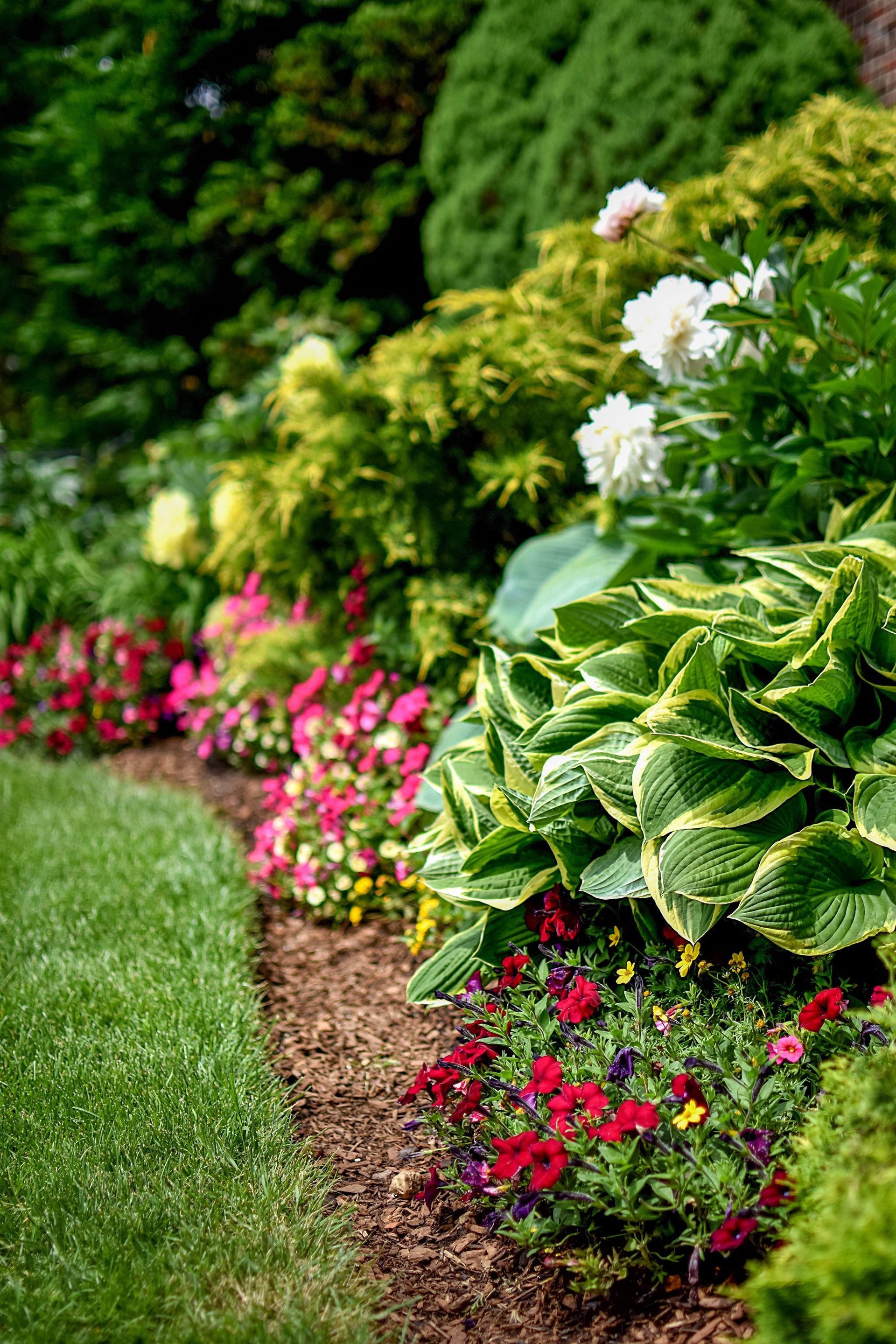 Un parterre de fleurs coloré avec une verdure luxuriante et une pelouse herbeuse au premier plan.
