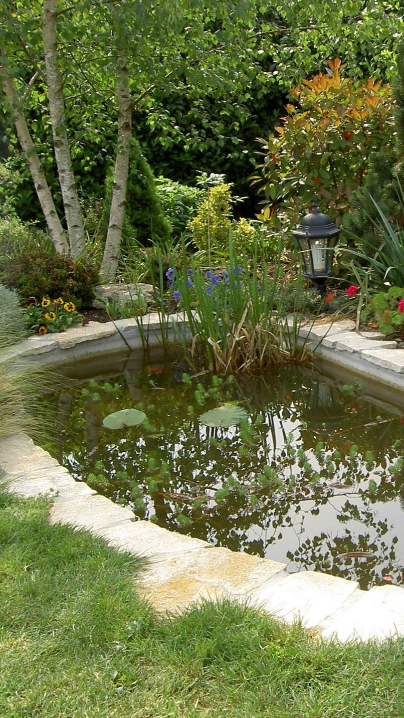 Étang dans un jardin, bordé de pierres, avec bouleaux, fleurs et verdure luxuriante.