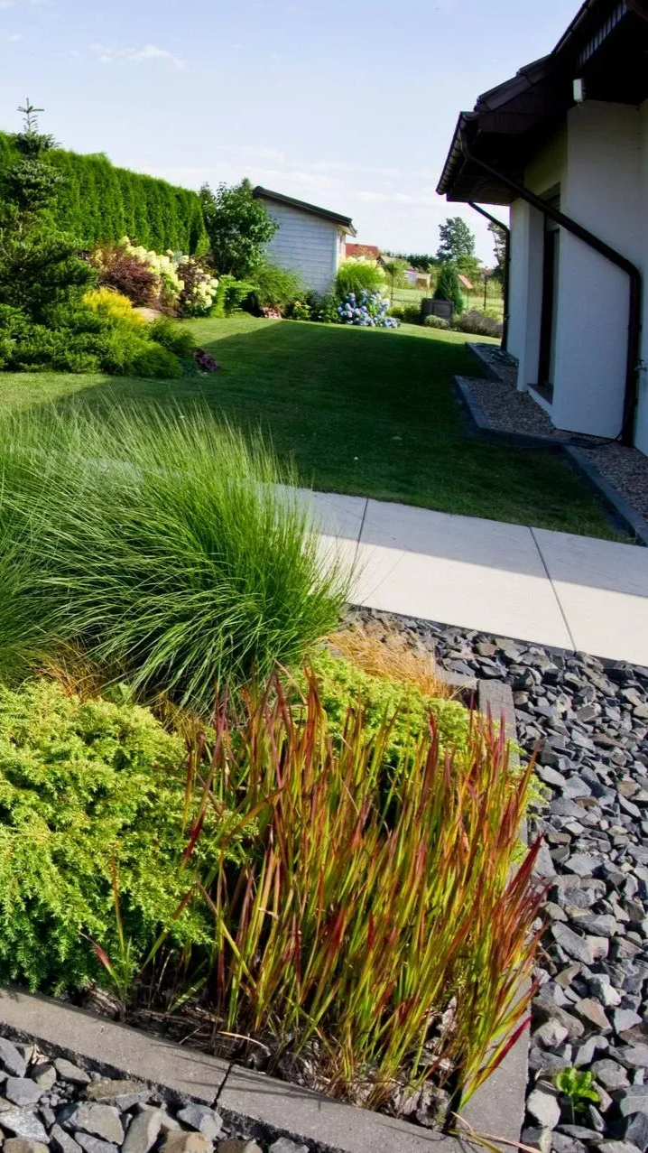 Jardin luxuriant avec diverses plantes et un sentier, à côté d'une maison avec un ciel bleu en arrière-plan.