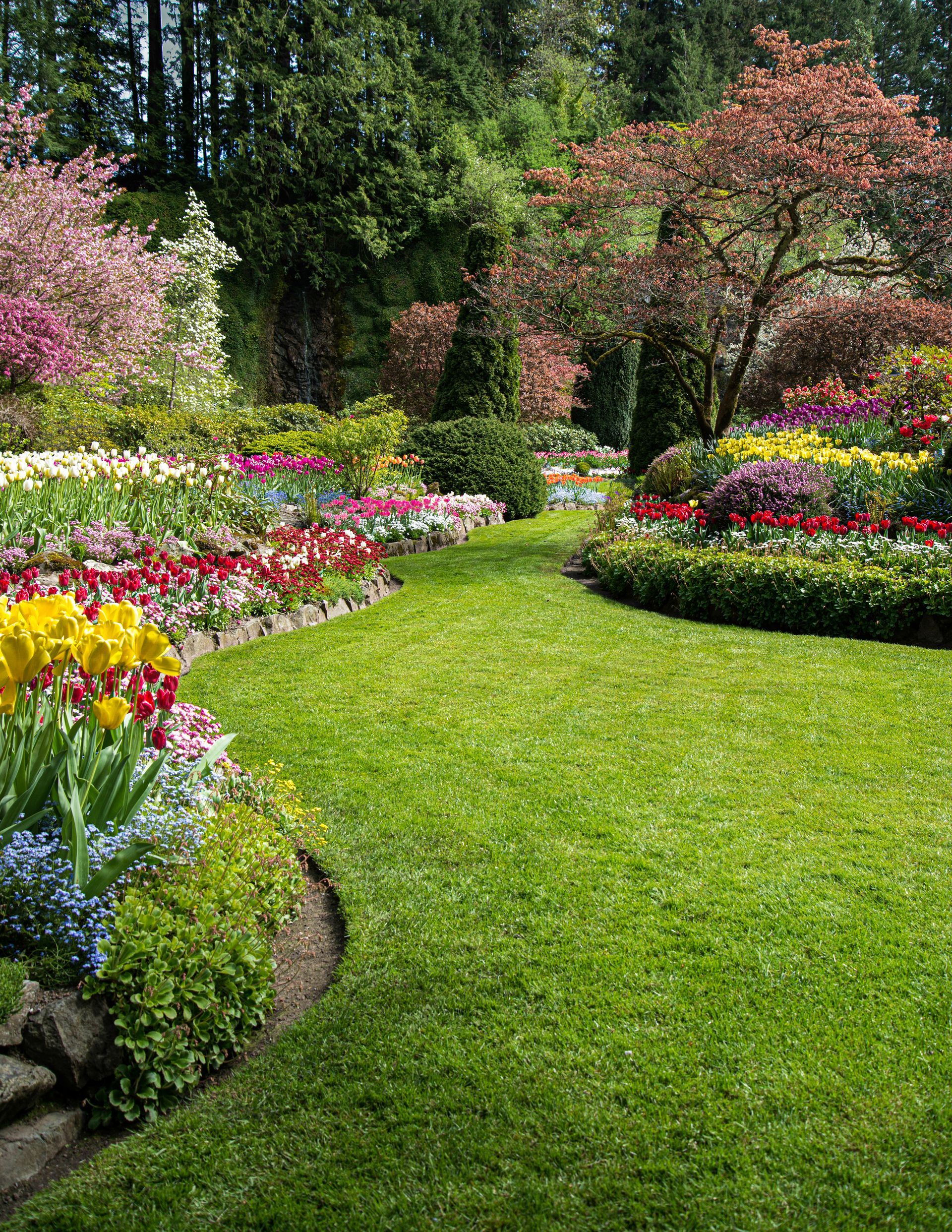 Jardin luxuriant avec des parterres de fleurs vibrants, une pelouse verte courbée et des arbres en fleurs sous un ciel lumineux.