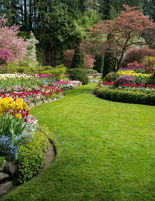 Jardin luxuriant avec un chemin de pelouse verte serpentant à travers des parterres de fleurs colorés sous des arbres en fleurs.