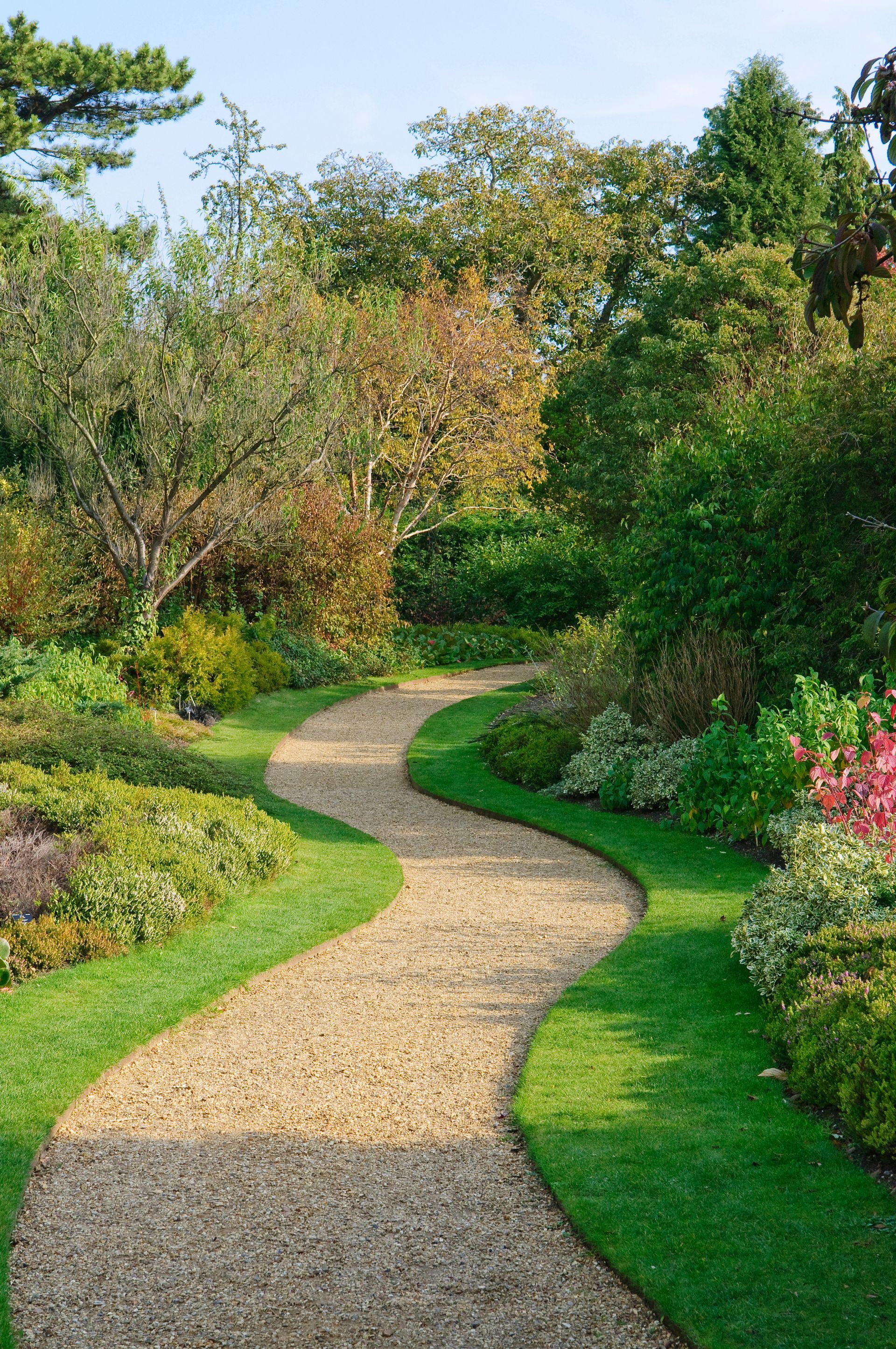 Chemin de gravier sinueux à travers un jardin luxuriant avec des bordures d'herbe verte et des plantes à fleurs.