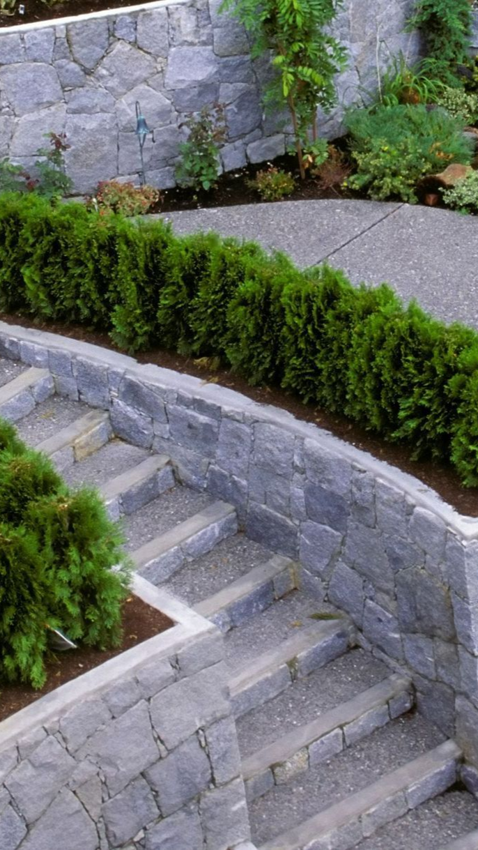 Marches en pierre et murs de soutènement dans un jardin avec des arbustes verts.