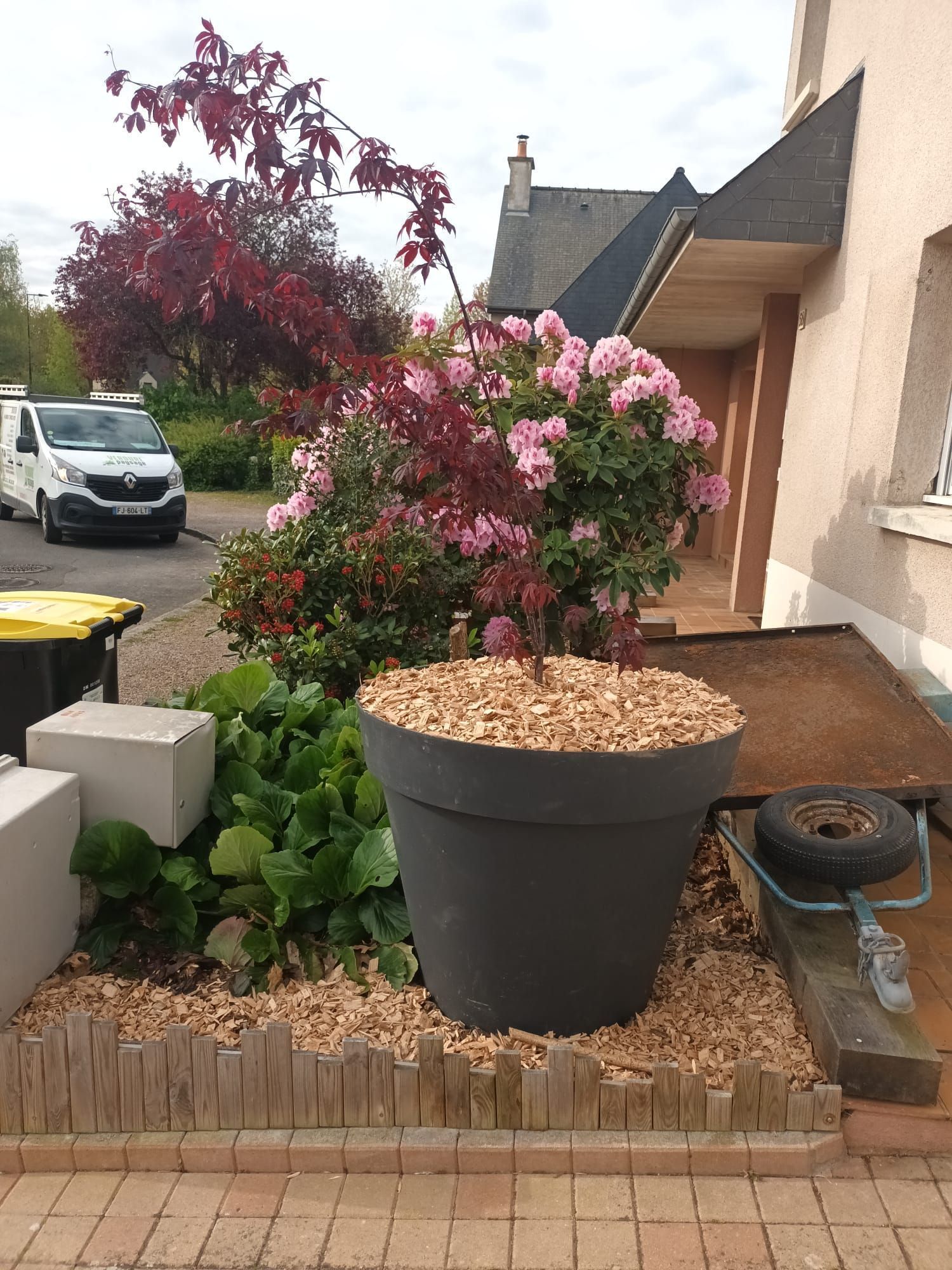 Grand pot noir avec des copeaux de bois, entouré de plantes, à côté d'une maison beige avec un arbre à feuilles rouges et un buisson à fleurs roses.