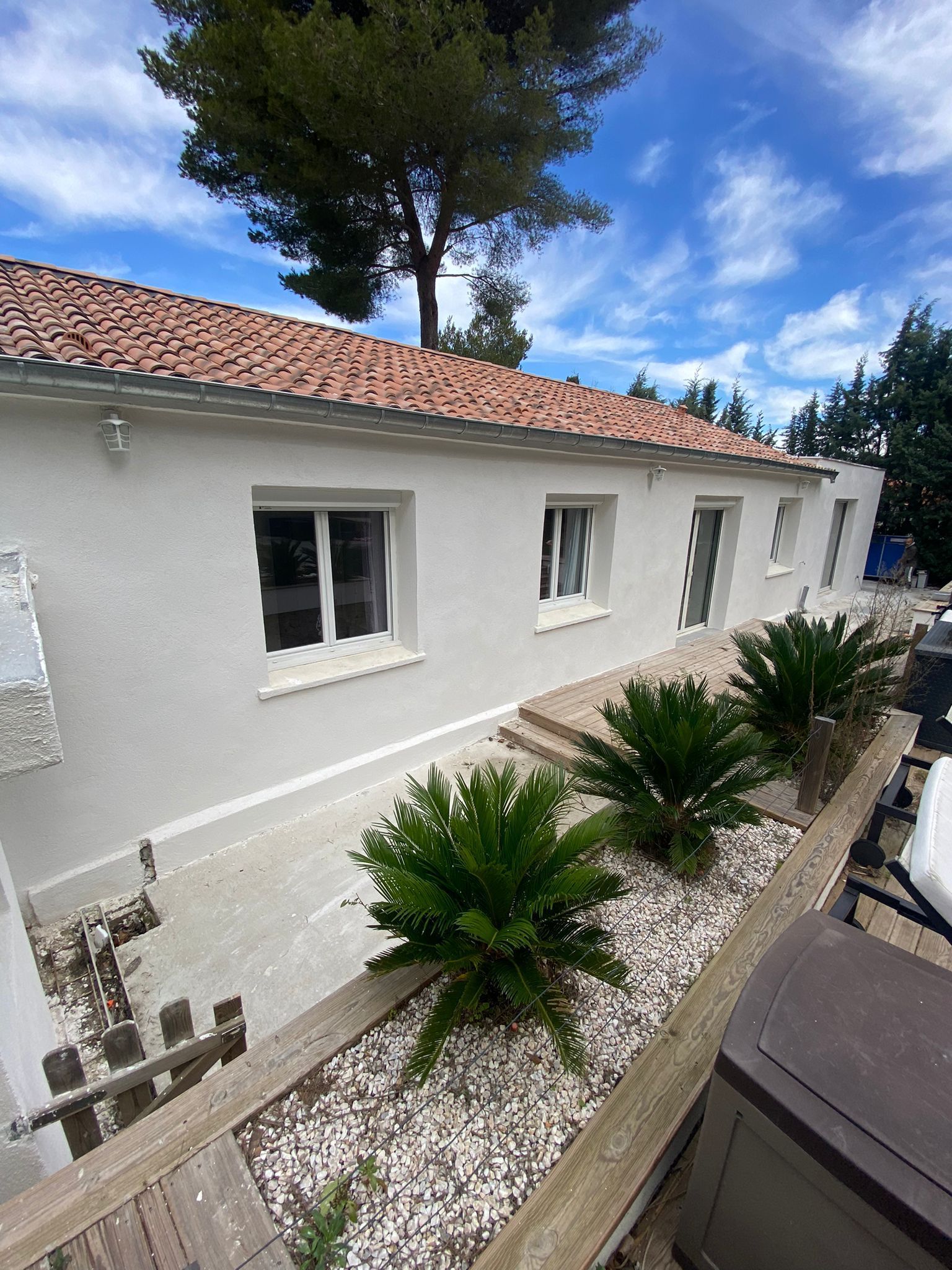 Maison avec vue sur fenêtre et plantations, aménagements extérieurs