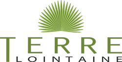 Logo Terre avec un soleil vert rayonnant au-dessus d'un texte vert olive sur fond blanc