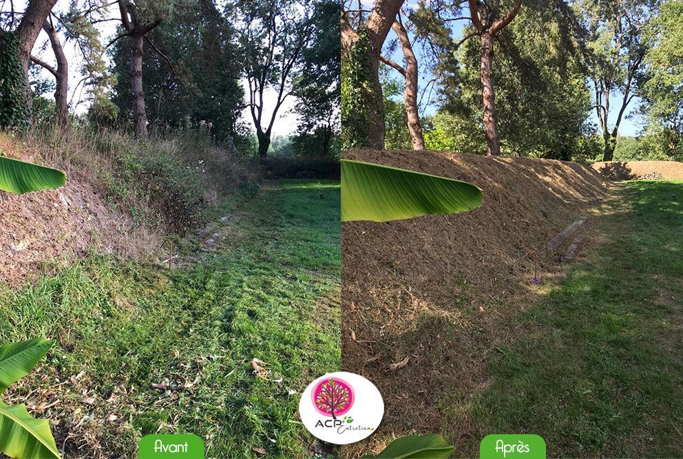 Vue en écran partagé d'un bunker de golf vert et d'un parcours boisé en plein jour