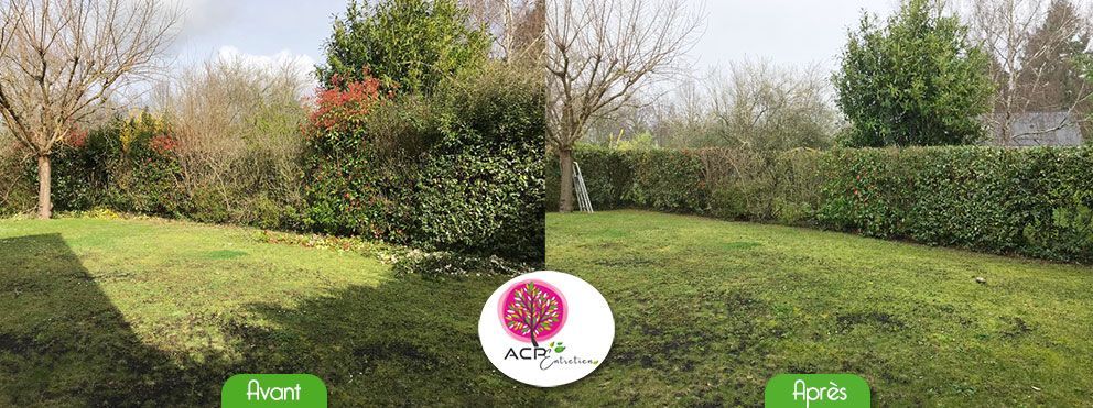 Pelouse du jardin divisée en une partie gauche plus verte et une partie droite dénudée, avec un logo floral au centre.