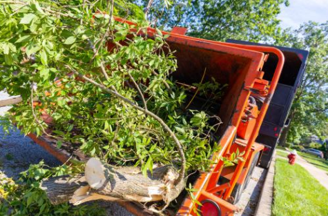 Un camion-benne orange renversé sur le côté, une grosse branche d'arbre emmêlée dans la benne, en bordure de route.
