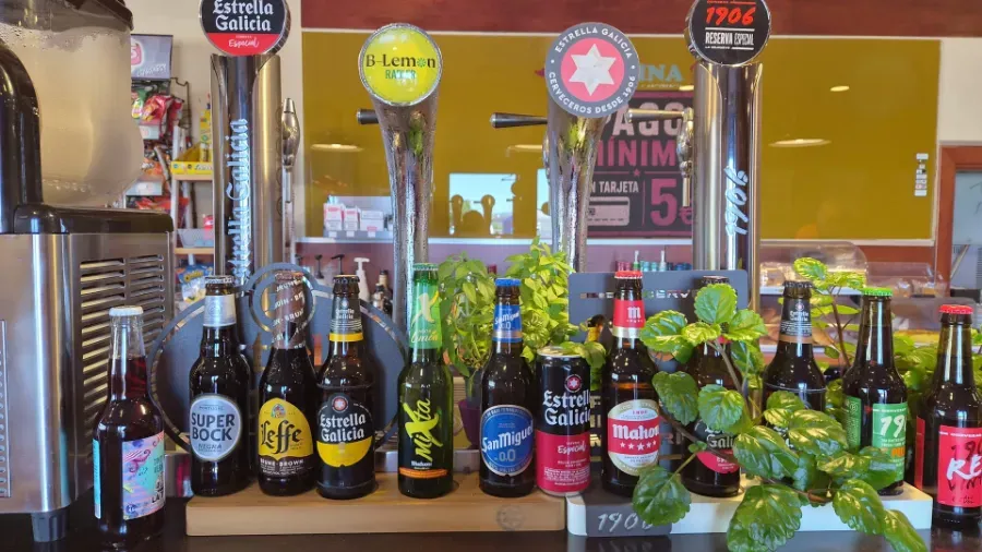 Grifos de cerveza y bebidas embotelladas en la barra, con plantas verdes y coloridos letreros de pub al fondo.