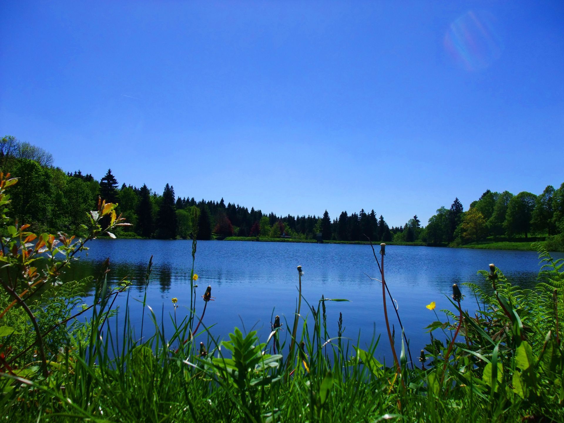 Sommerimpression Kurpark Hahnenklee