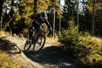 Bikepark Hahnenklee