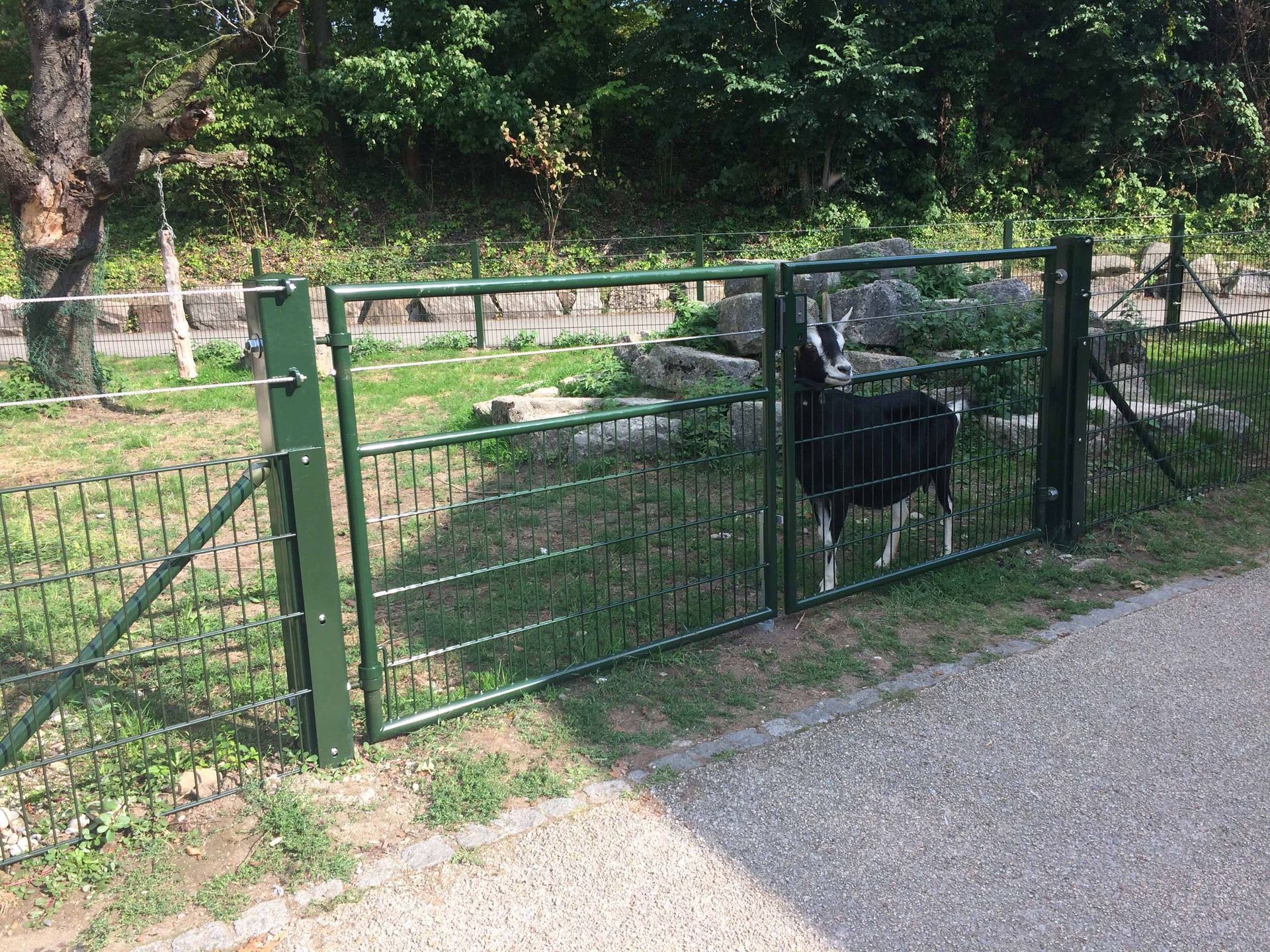 tiergehege - gebrüder meyer - zaunfabrik und schlosserei - münchenstein