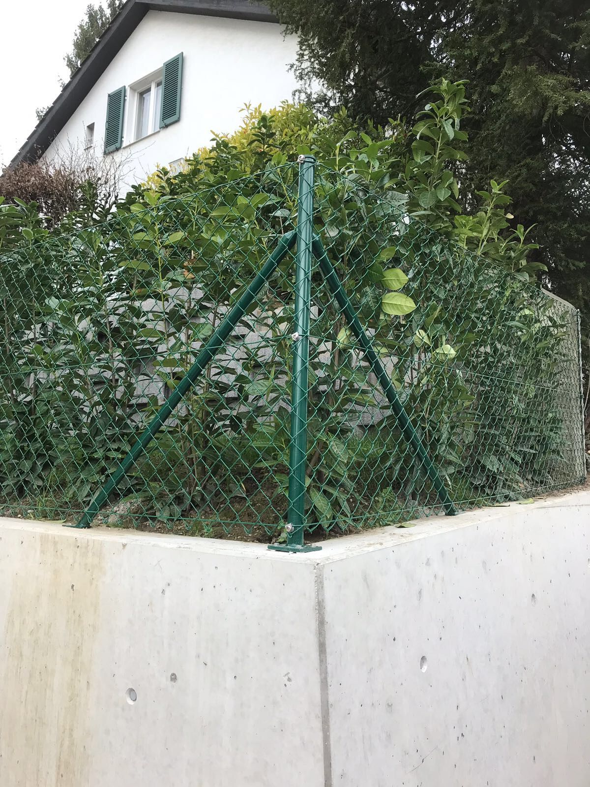 diagonalgeflechtzaun grünbeschichtet - gebrüder meyer - zaunfabrik und schlosserei - münchenstein