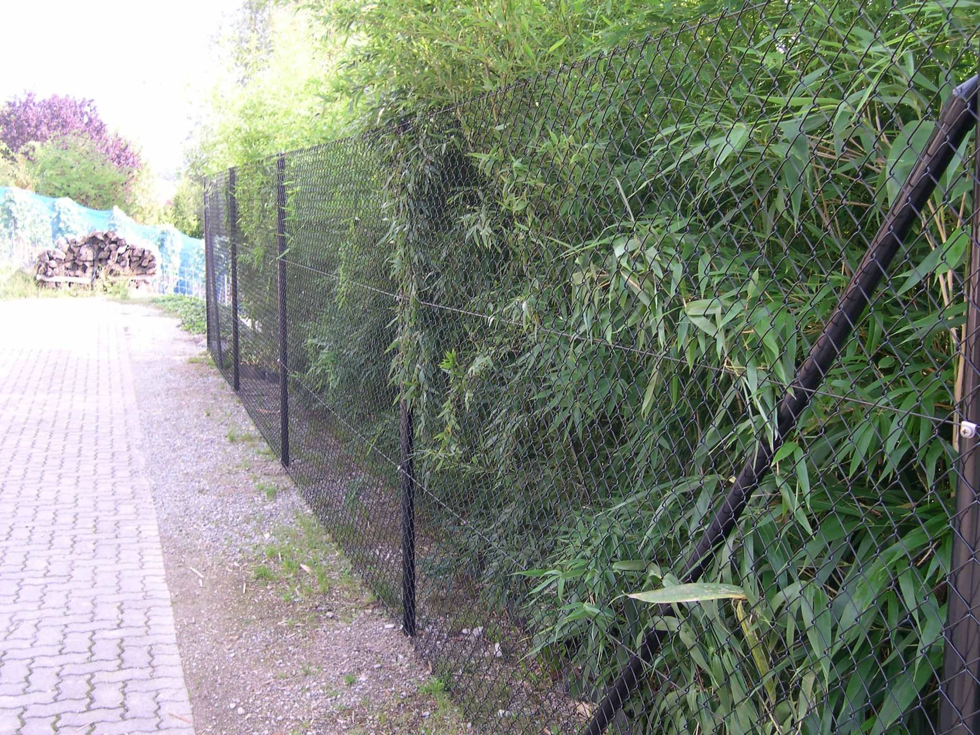 diagonalgeflechtzaun schwarzbeschichtet - gebrüder meyer - zaunfabrik und schlosserei - münchenstein