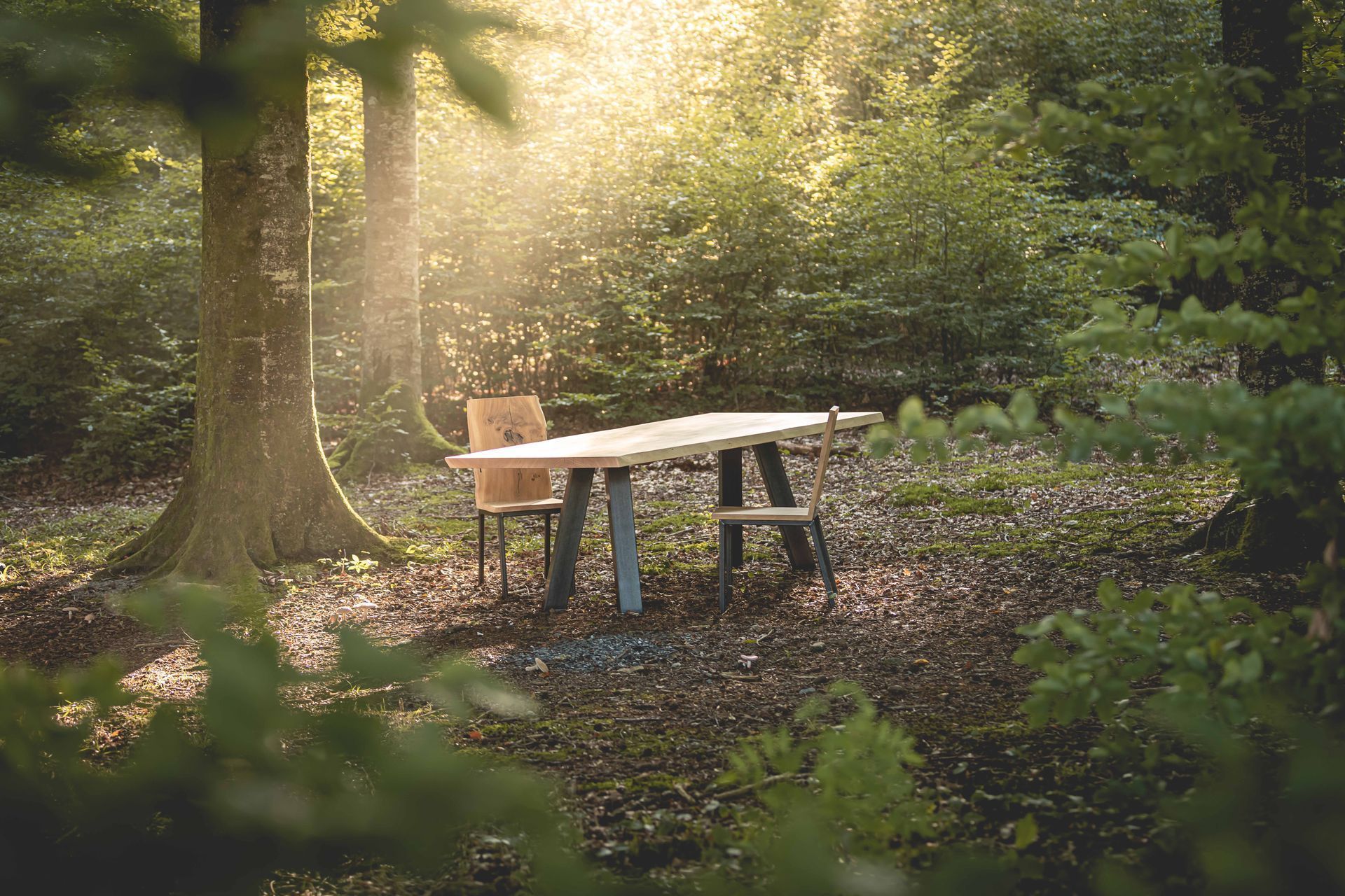 Ein Tisch und Stühle mitten in einem Wald, durch dessen Bäume die Sonne scheint.