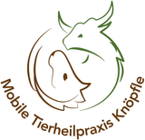 Behandlungen