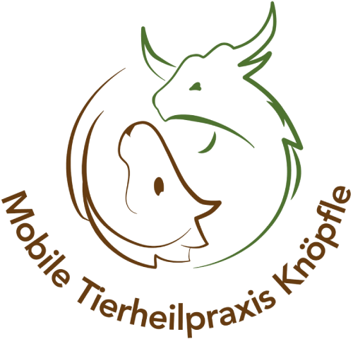 Behandlungen