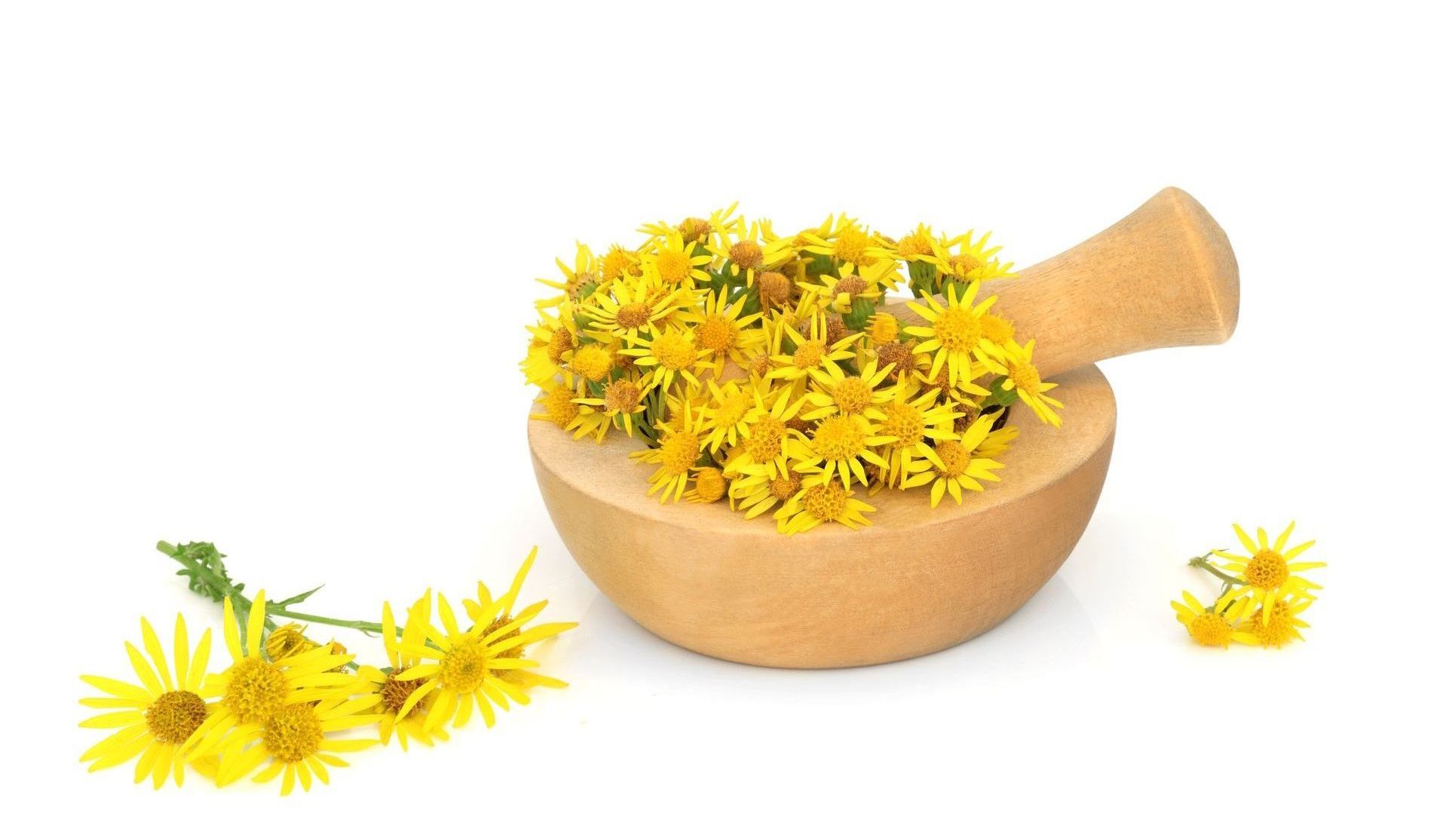 homeopathy
