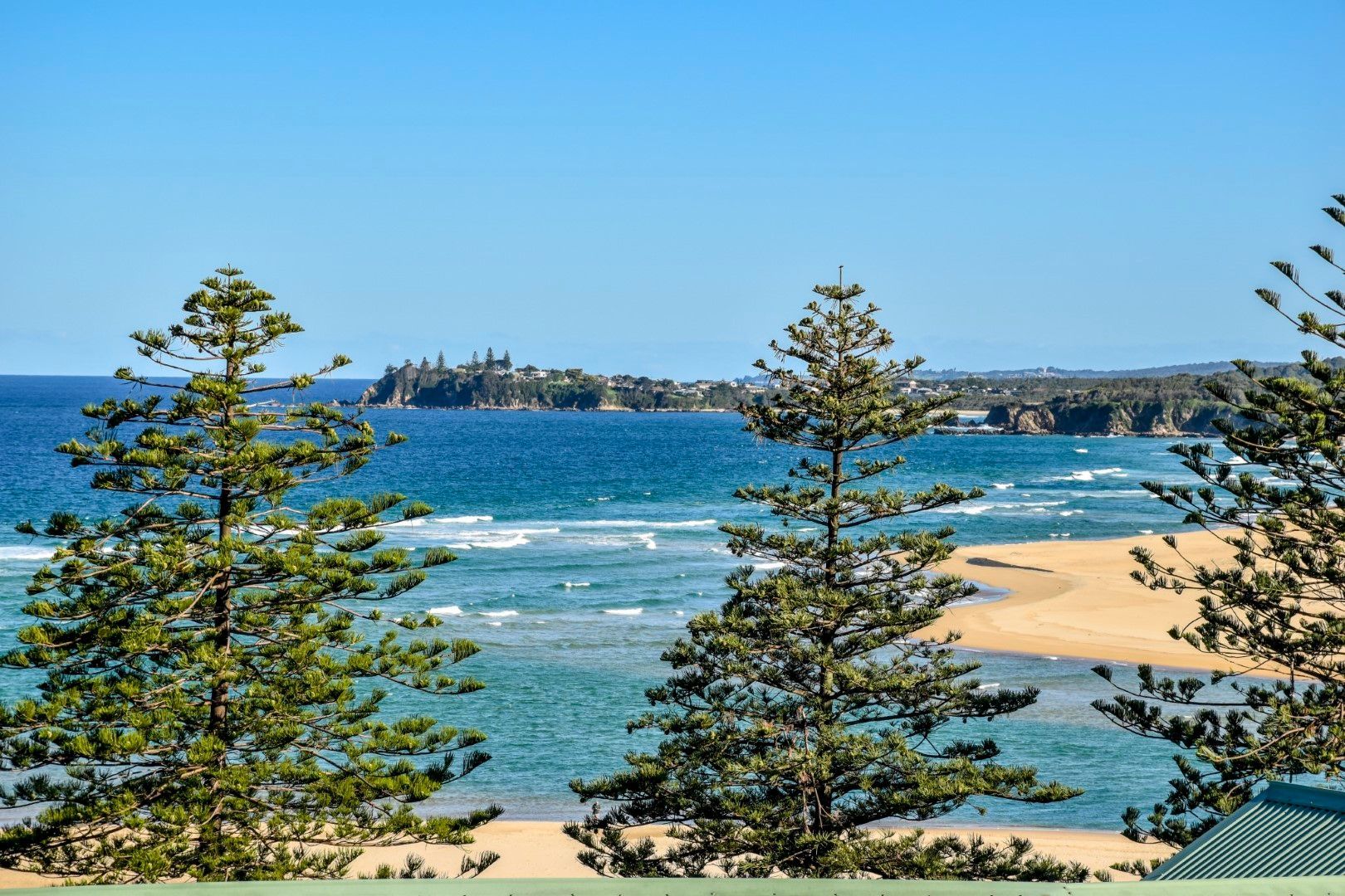 Sandy beach and blue ocean with pine trees in the foreground and a distant island on the horizon
