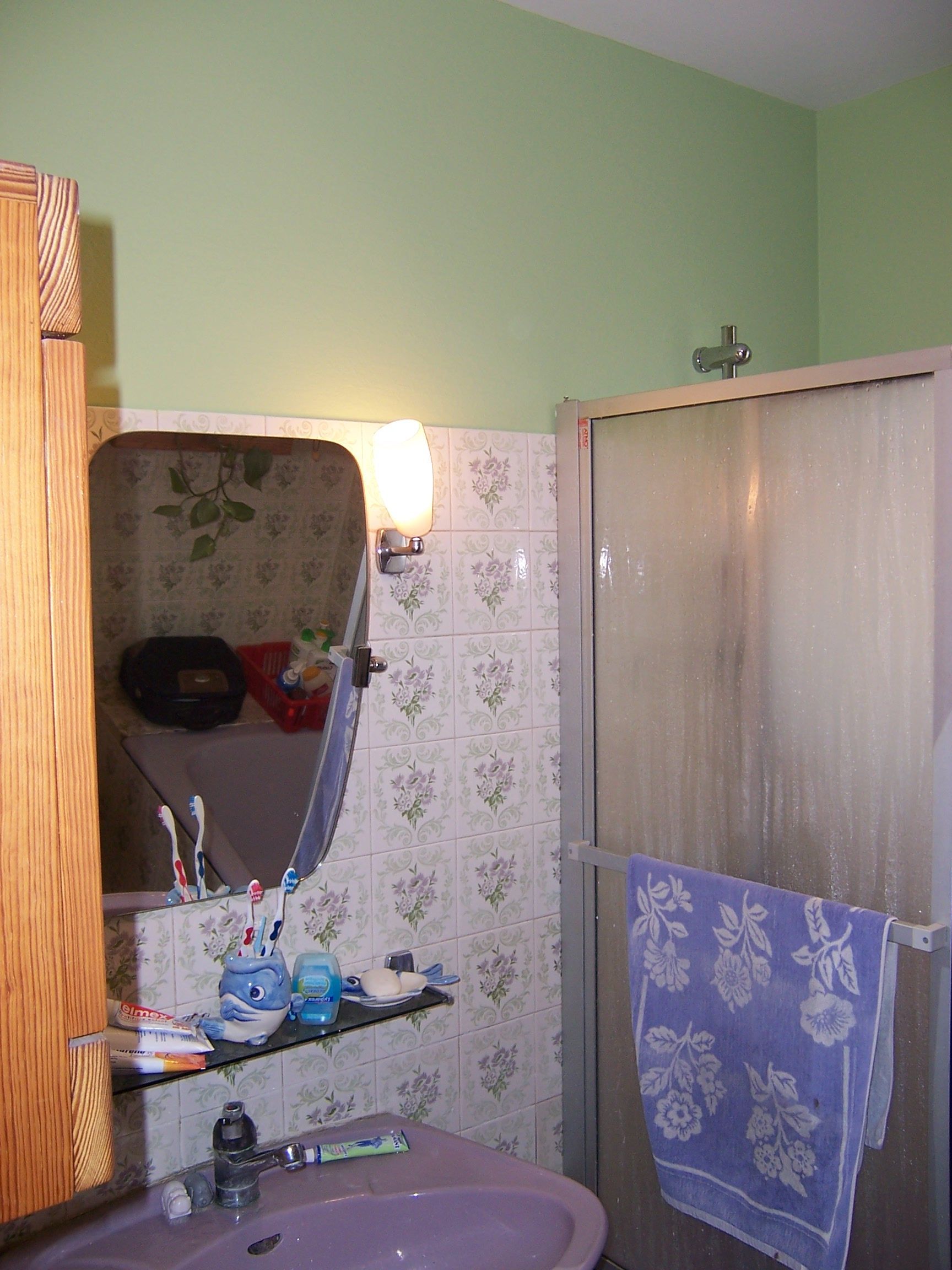 Photo d'un mur de salle de bains peint en vert clair