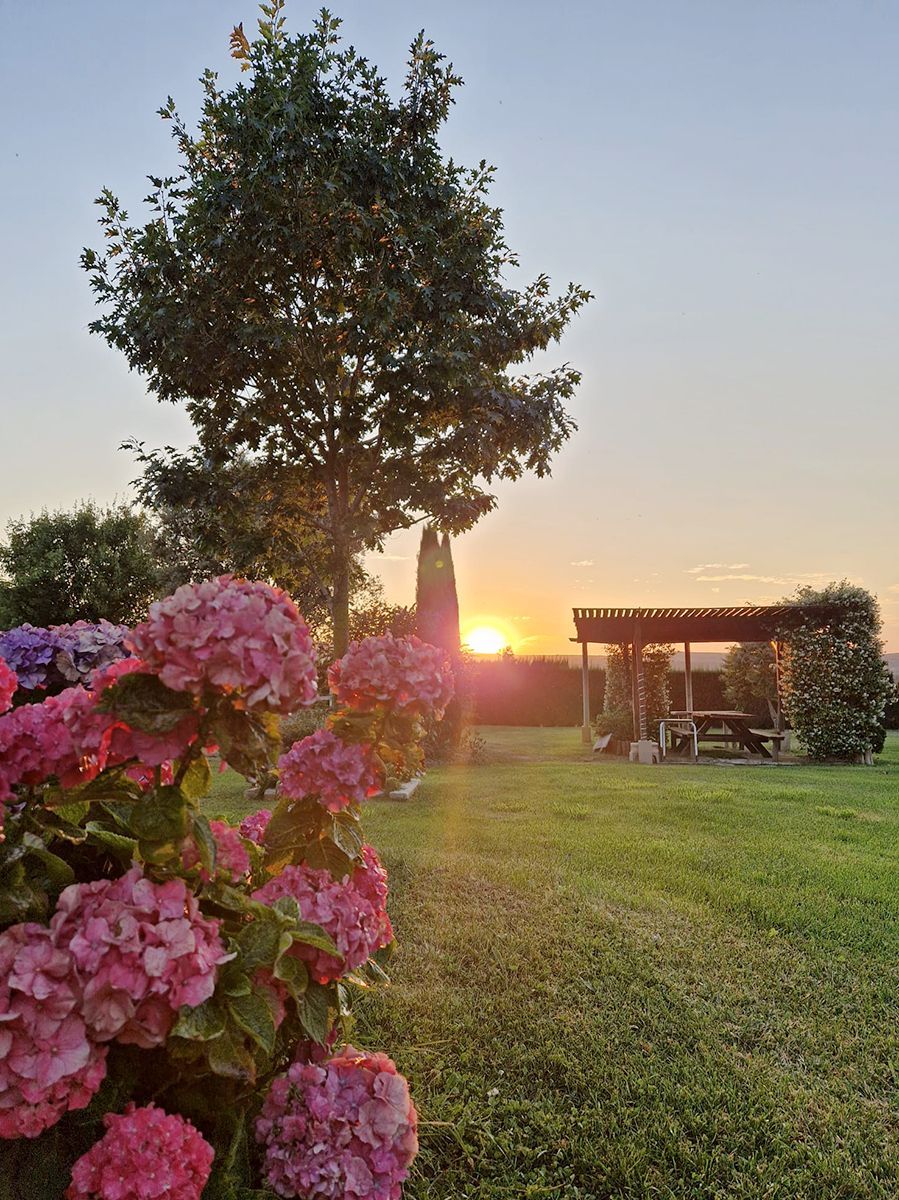Construcción de jardines con césped artificial