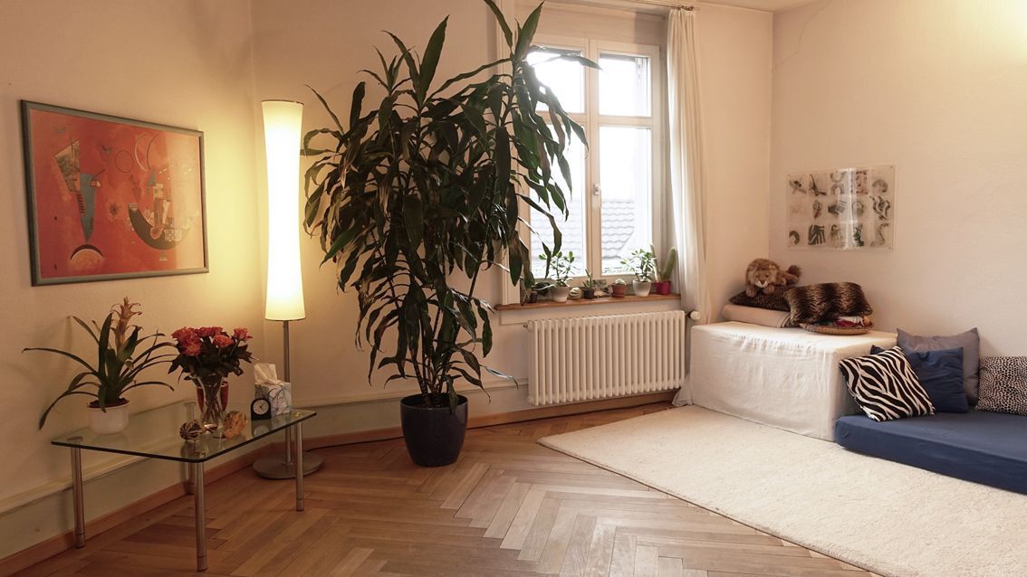 psychotherapie - praxis - Praxis Schmitter - Romanshorn