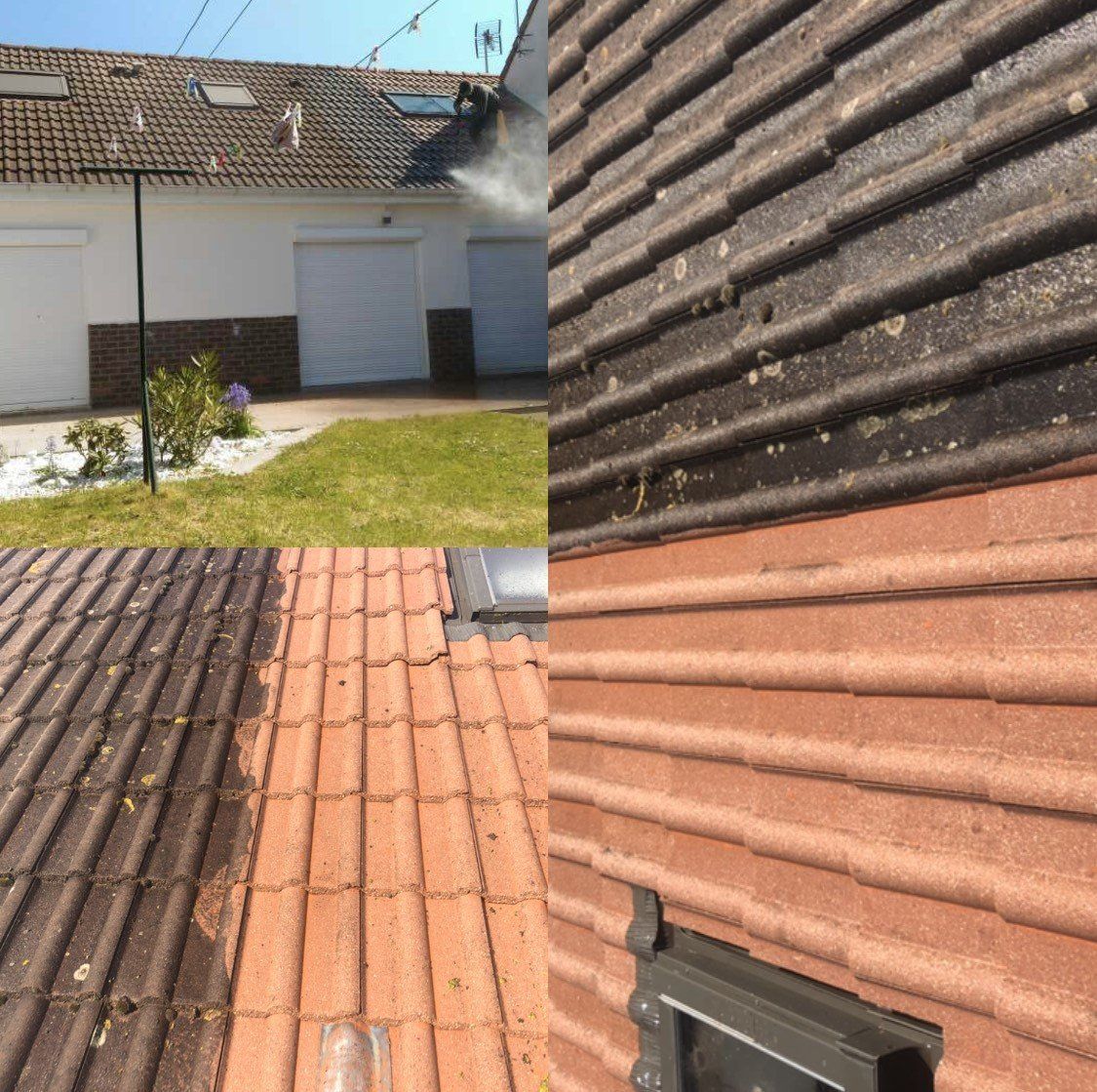 Démoussage des toitures avant et après