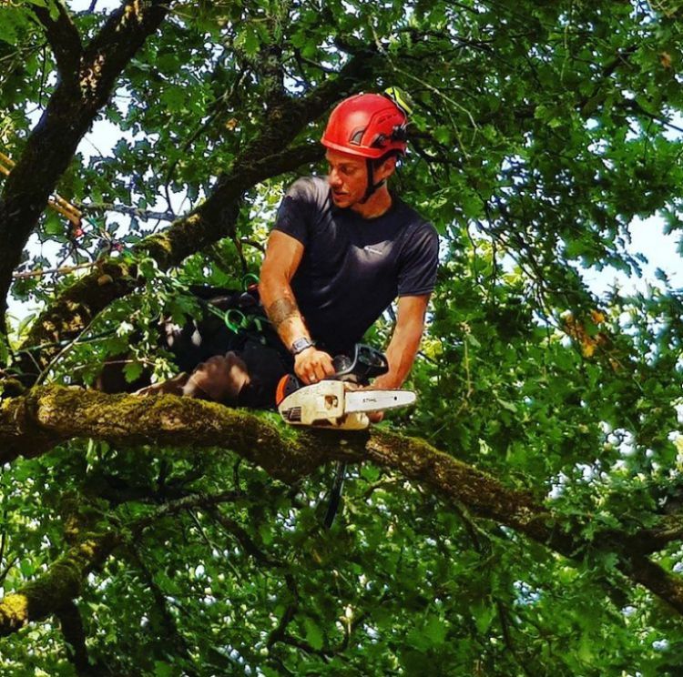 Une personne tronçonne une branche d'arbre
