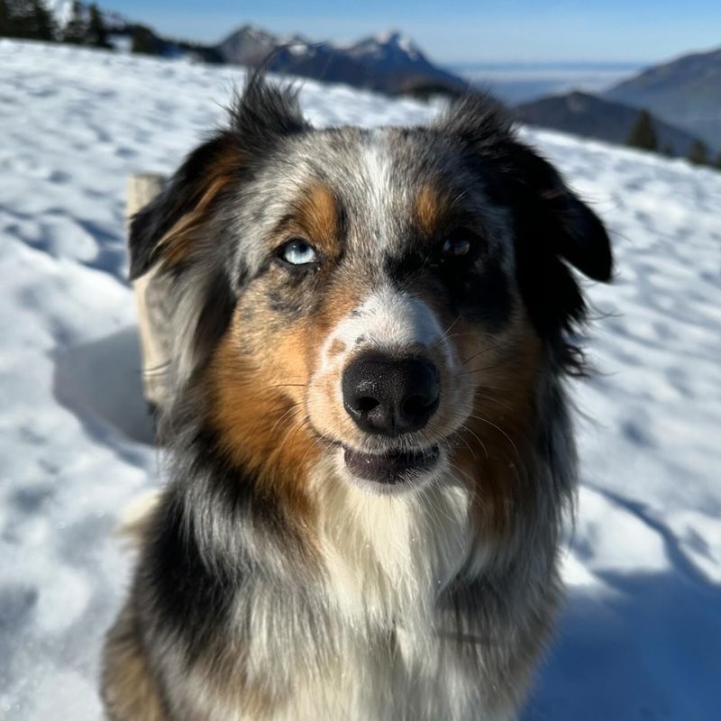 Sandra Schäublin | Schäublin + Feltsch AG