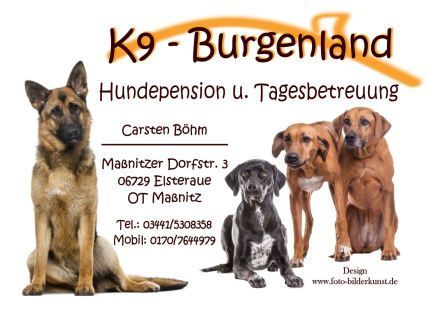 Hundepension