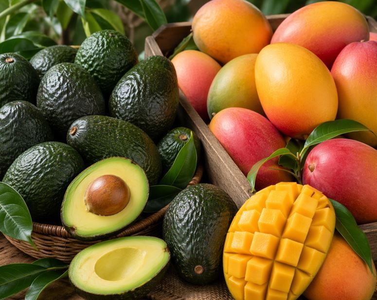 Cesta de aguacates y mangos maduros variados, incluyendo aguacate en rodajas y mango en cubos, sobre una superficie tejida.