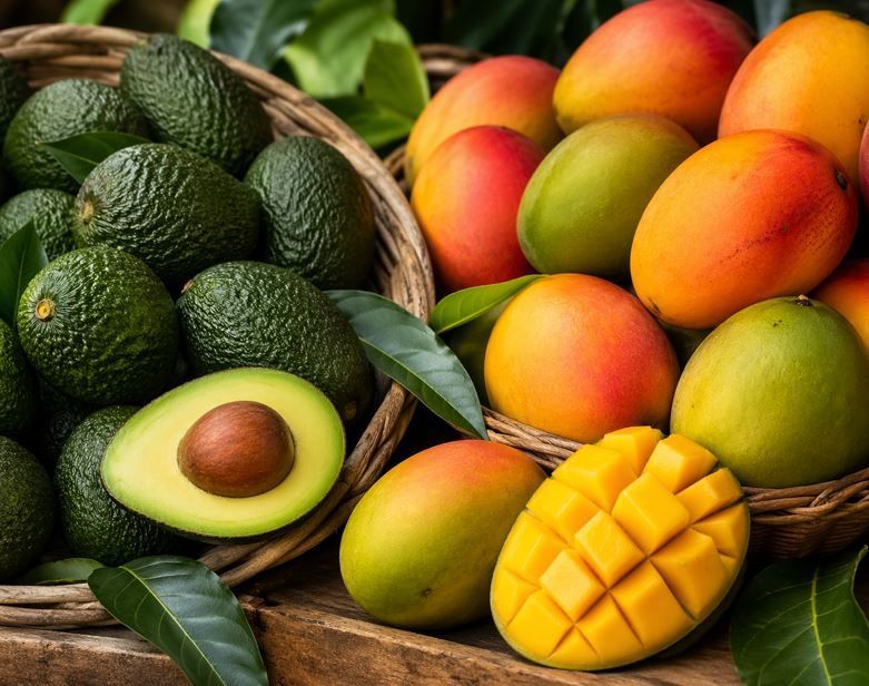 Cesta de aguacates y mangos maduros, con un aguacate en rodajas y un mango tallado sobre una superficie de madera.