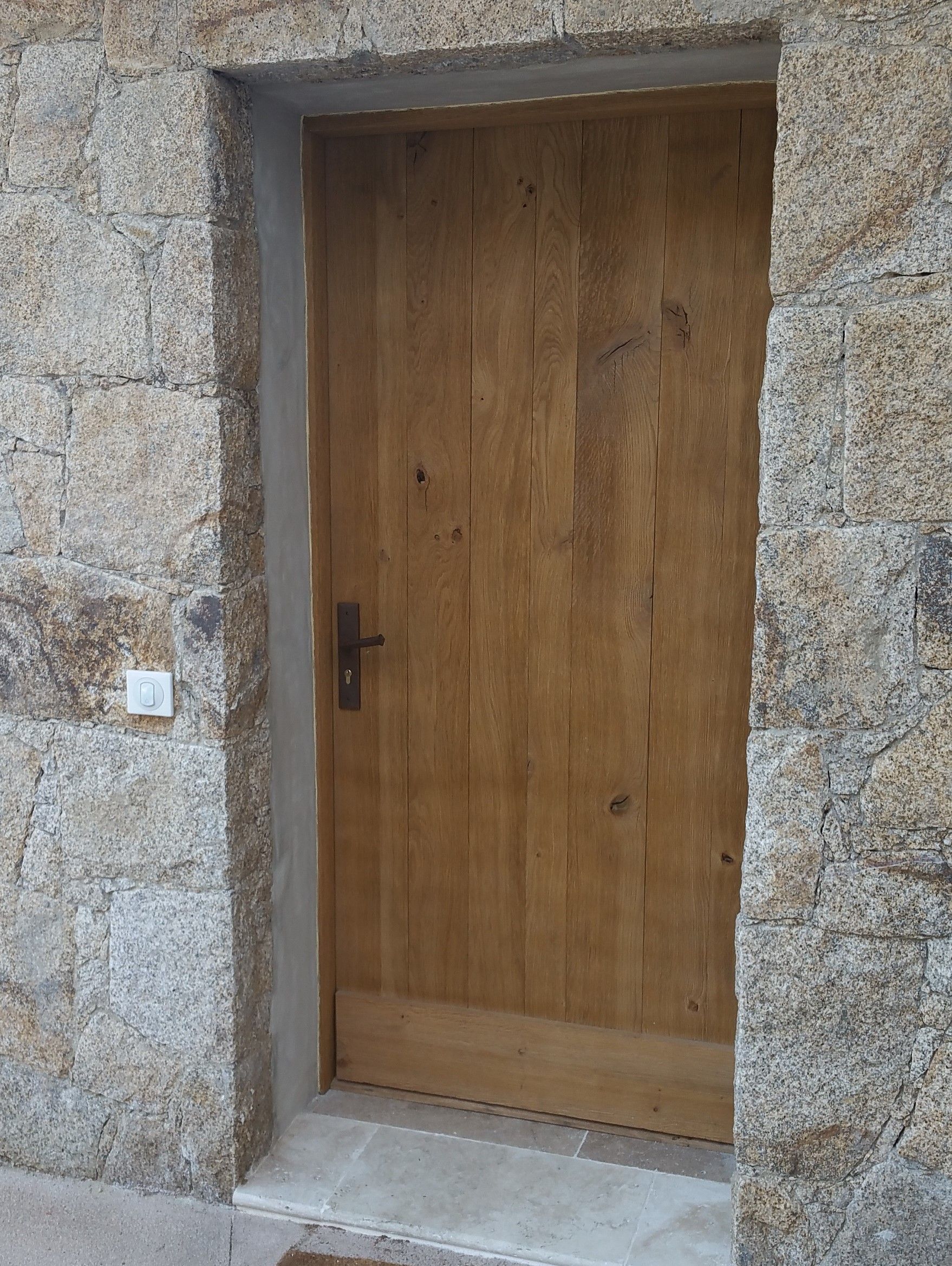 Porte d'entrée en bois foncé design