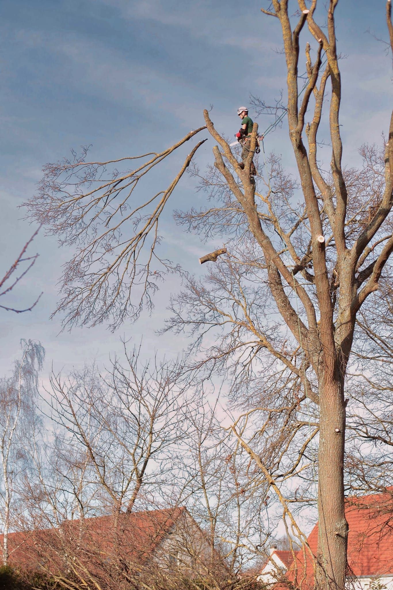 Abattage par démontage