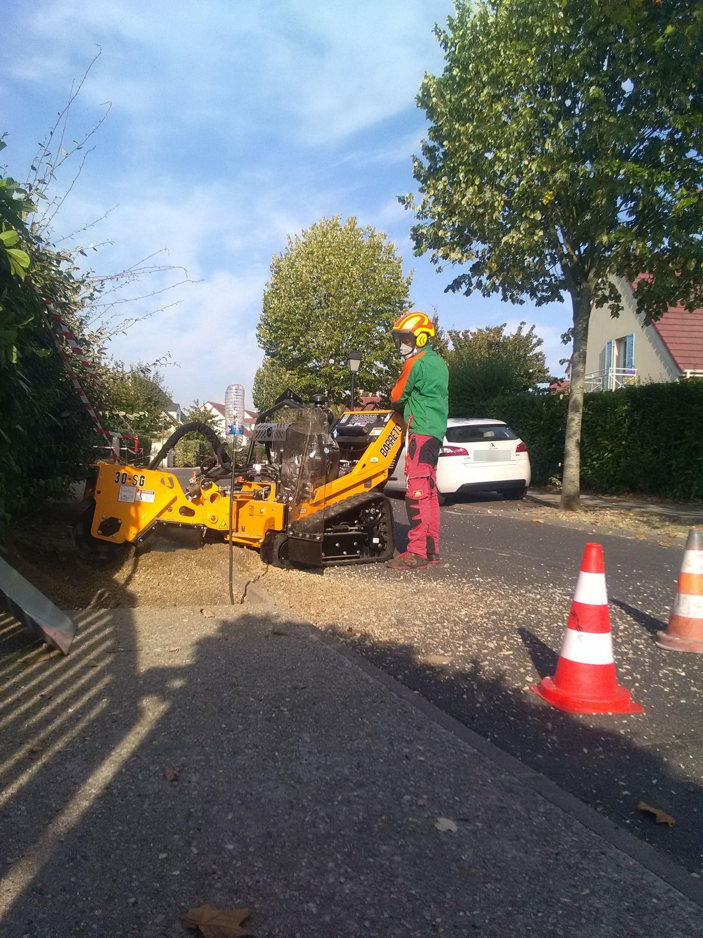 Entreprise d'élagage