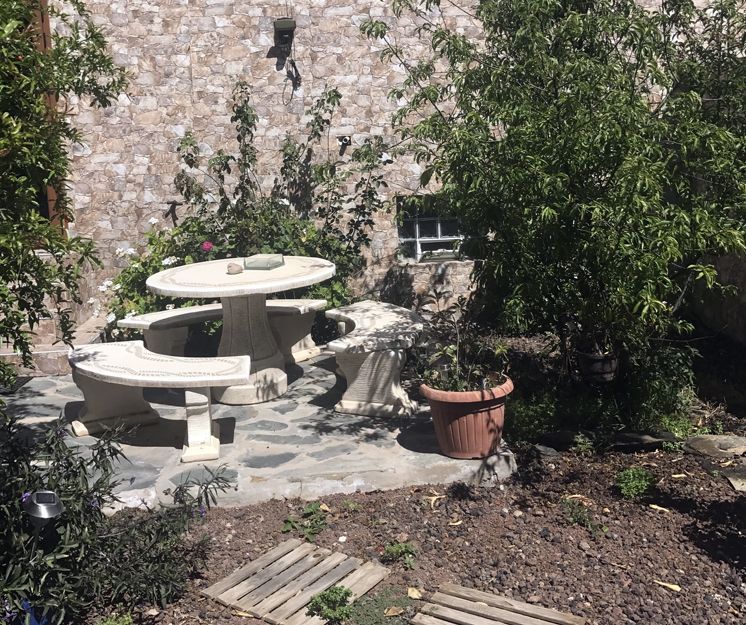 Patio y jardines