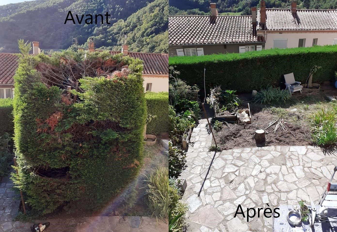 Abattage d'arbre avant et après