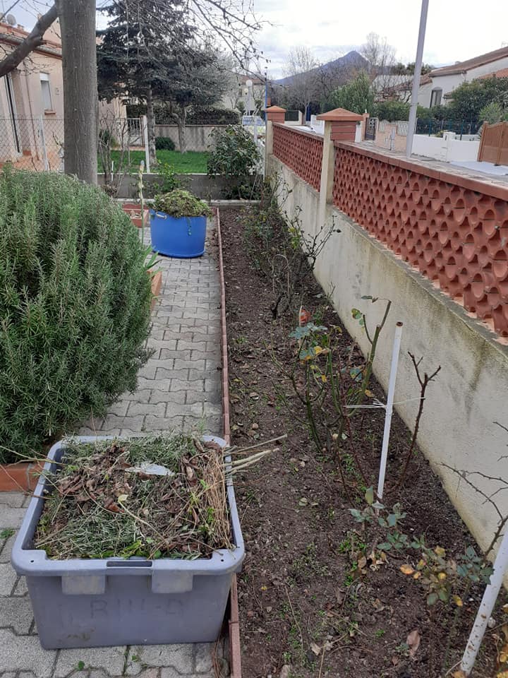 Entretien de jardin extérieur